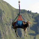 Illustration for article titled Why the Swiss Evacuate Their Cows by Helicopter